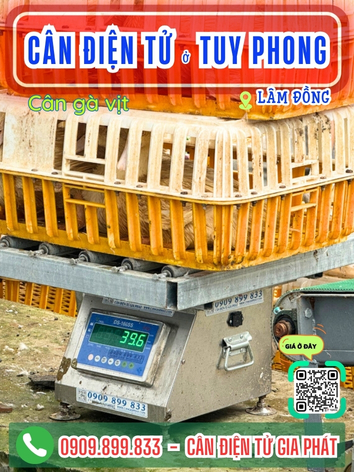 C&acirc;n điện tử ở Tuy Phong L&acirc;m Đồng - C&acirc;n Gia Ph&aacute;t